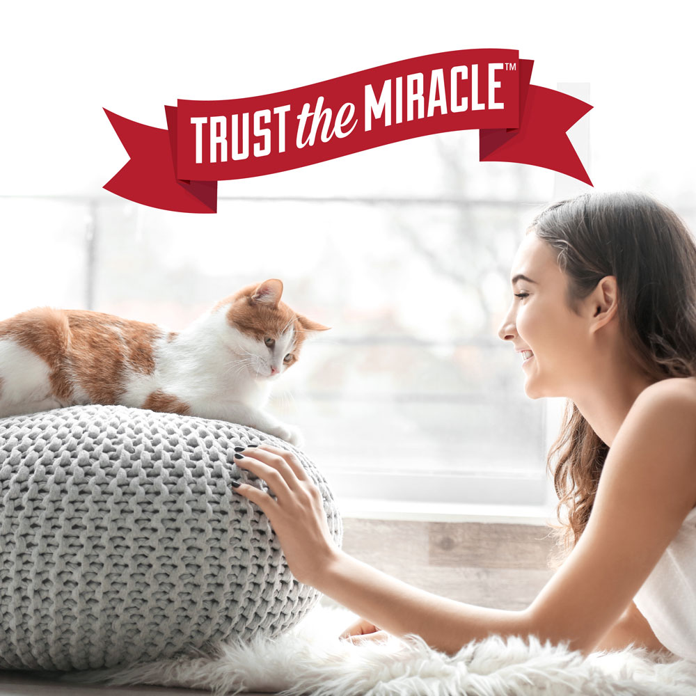 Nature's miracle set in stain store destroyer cat